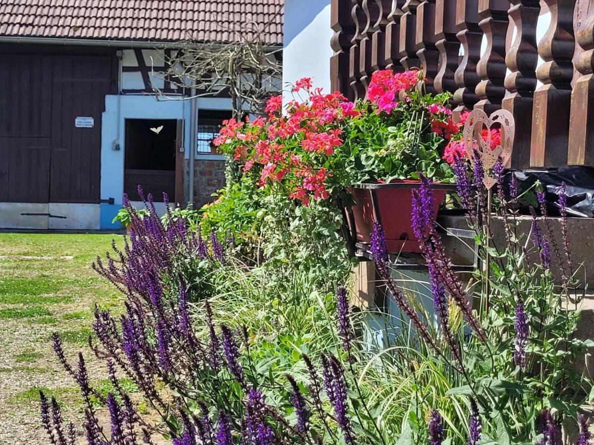 Cosy Holiday Home In Schleithal With Garden Экстерьер фото