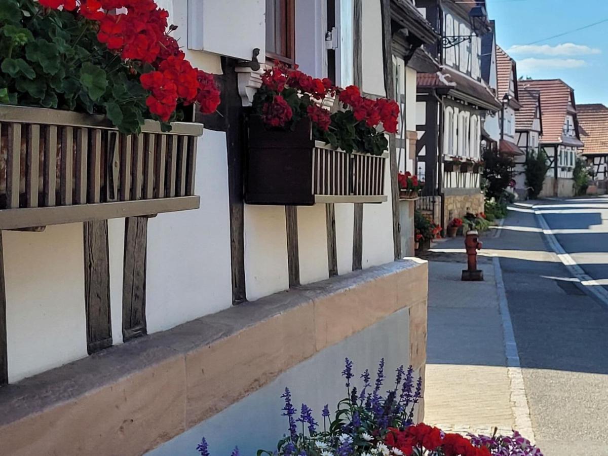 Cosy Holiday Home In Schleithal With Garden Экстерьер фото